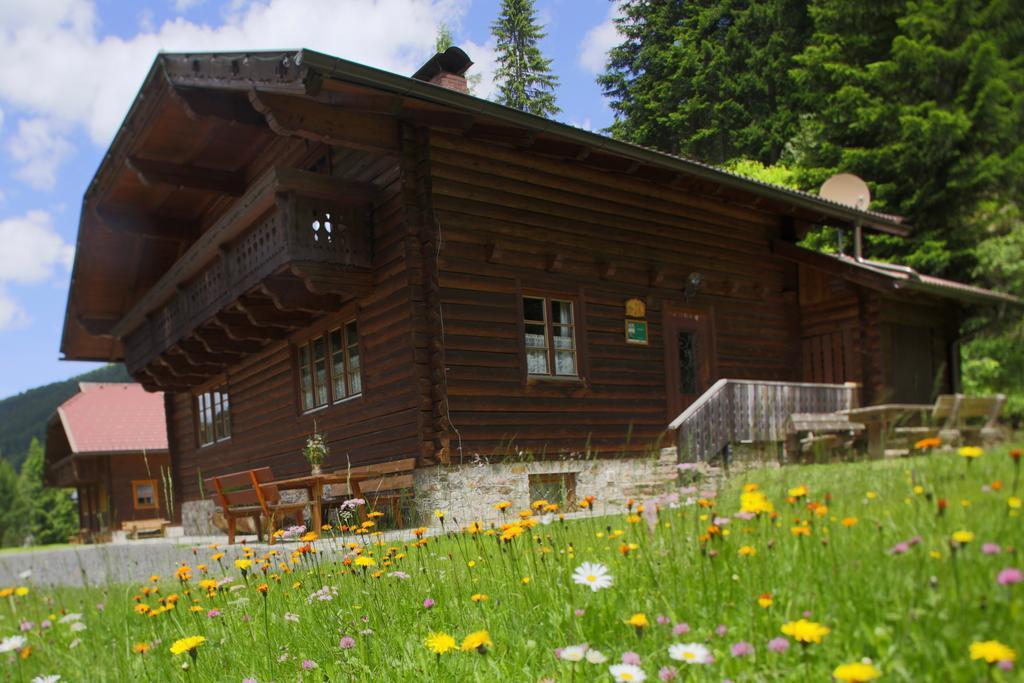 Gasserhuette Innerkrems Oda fotoğraf