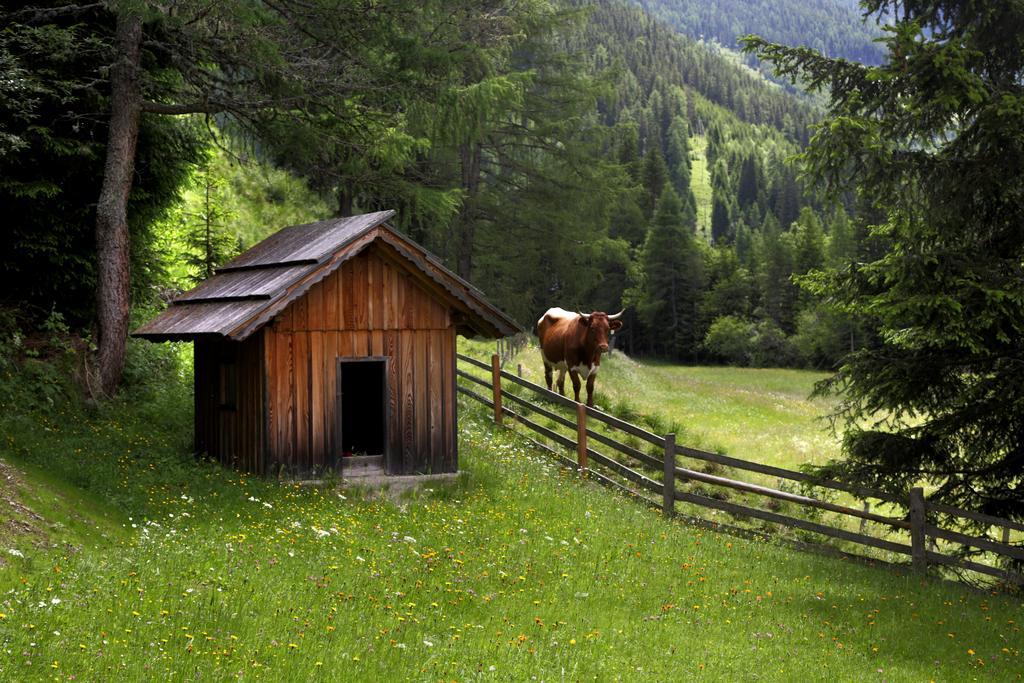 Gasserhuette Innerkrems Oda fotoğraf