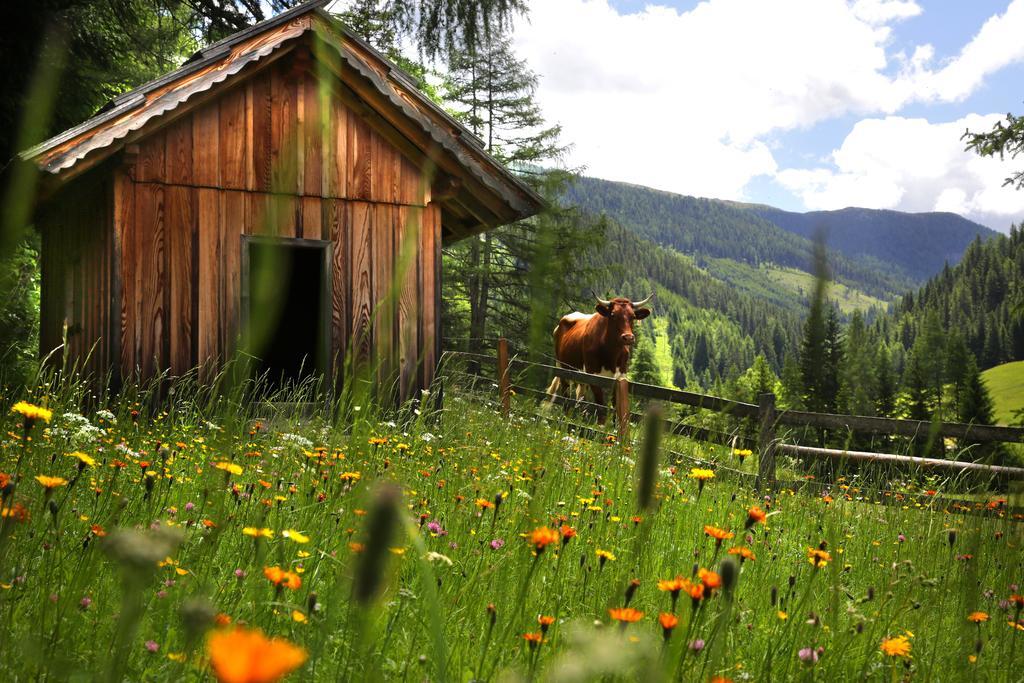 Gasserhuette Innerkrems Oda fotoğraf